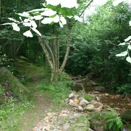 El Molino De Tía Lalia Valle de Cabuerniga